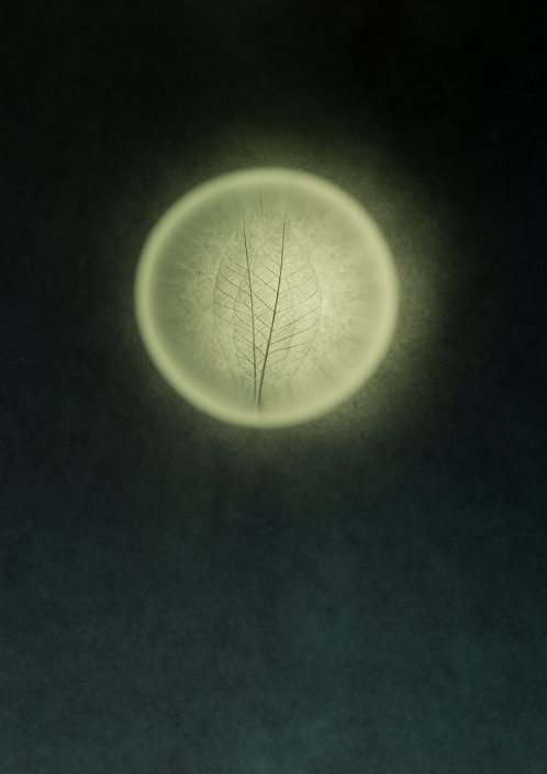 TUKUYOMI