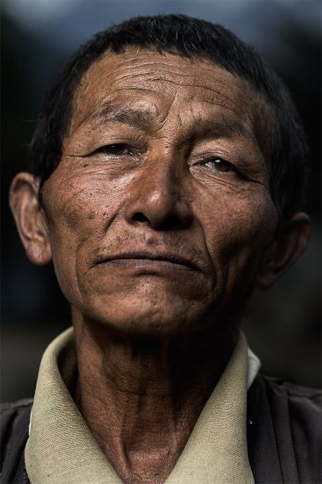 The Elders Collection (8)